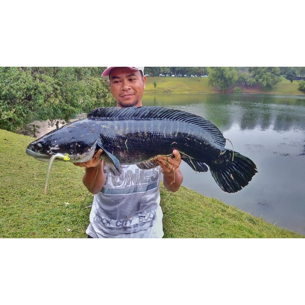 สําหรับ Toman Hunter - Bass Assassin Twitch 6" Loose Items