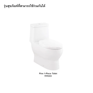 1221813-ASP - KARAT ชุดทางน้ำออก สำหรับสุขภัณฑ์แบบชิ้นเดียว รุ่นไพน์