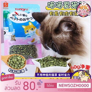 Boqi Factory ขนมหญ้าแมว ขนมแมว เม็ดหญ้าแมวพร้อมรับประทาน สินค้ามีพร้อมส่ง (Cat Nip) FunnyU