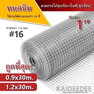 ลวดตาข่ายสี่เหลี่ยมชุบกัลวาไนซ์(ชุบร้อน) ชุบกันสนิมไม่เป็นสนิม 30เมตร ตา1นิ้ว ลวด1.6มิล ล้อมต้นไม้ ทำกรงนก กรงไก่