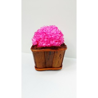 Rose Bee ลูกบอลเดลซี่ ใส่ตระกร้า 17 cm - Pink