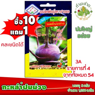 (ซื้อ10แถม1) เมล็ดพันธุ์ กะหล่ำปม ม่วง Purple Kohlrabi ประมาณ 1,350เมล็ด 3A สามเอ ผักสวนครัว เมล็ดพันธุ์พืช เมล็ดผัก