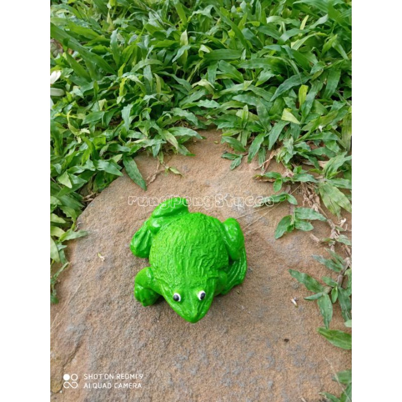 ตุ๊กตาปูนปั้นกบตกแต่งสวนสวยมีให้เลือก 2 สี น่ารักมาก สนใจสั่งซื้อได้คะ ราคาถูก ราคา ถูกที่สุด ดีลบีเคเค รูปภาพหลัก