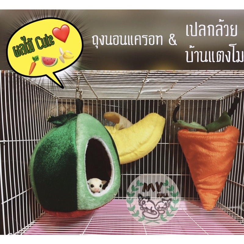 ที่นอนผลไม้ โดมแตงโม ถุงนอนแคร์รอต เปลกล้วย สัตว์เลี้ยง ชูก้า กระรอก แฮมเตอร์ฯลฯ