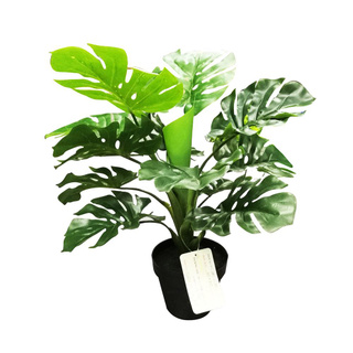 ✨อย่างดี✨ ต้นพลูฉีกประดิษฐ์  50 ซม. ARTIFICIAL MONSTERA SPRING 50CM สินค้าคุณภาพสูง