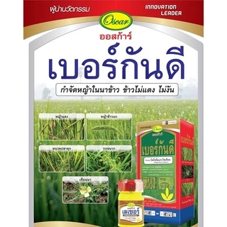 เบอร์กันดี บิสไพริแบคโซเดียม (แถม สารจับใบ) ยาฆ่าหญ้าในนาข้าว ยาเก็บหญ้า สารกำจัดวัชพืช ข้าวนก หญ้าแดง กกทราย หนวดปลาดุก