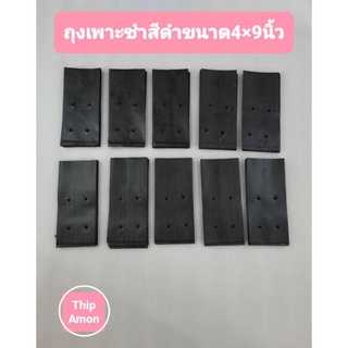 ถุงเพาะชำสีดำขนาด 4×9 จำนวน 100 ใบ