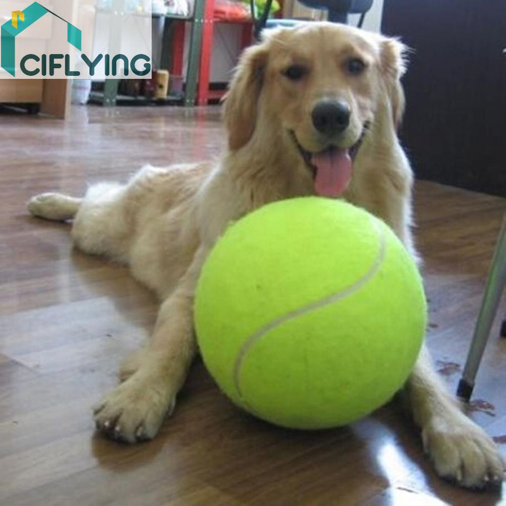 9.5' Big Giant Pet Dog Puppy Tennis Ball Thrower Chucker Launcher Play Toy