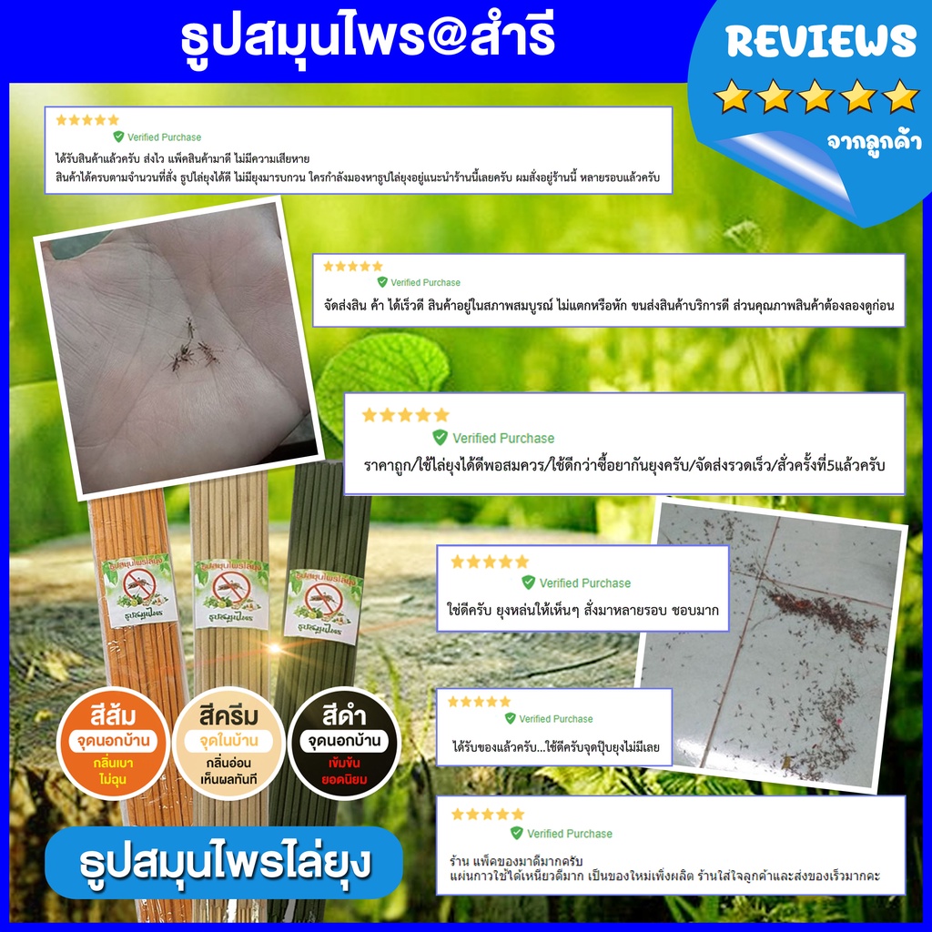 ♨️ธูปจุดกันยุง⭐️จำนวน 5 แพค⚡️(1 แพคมี 10 ขด)⚡️ราคา 119 บาท ♨️ธูปกันยุง แบบขด ธูปสมุนไพร แบบขด ไล่ยุง ควันน้อย จุดนาน - รูปที่ 3