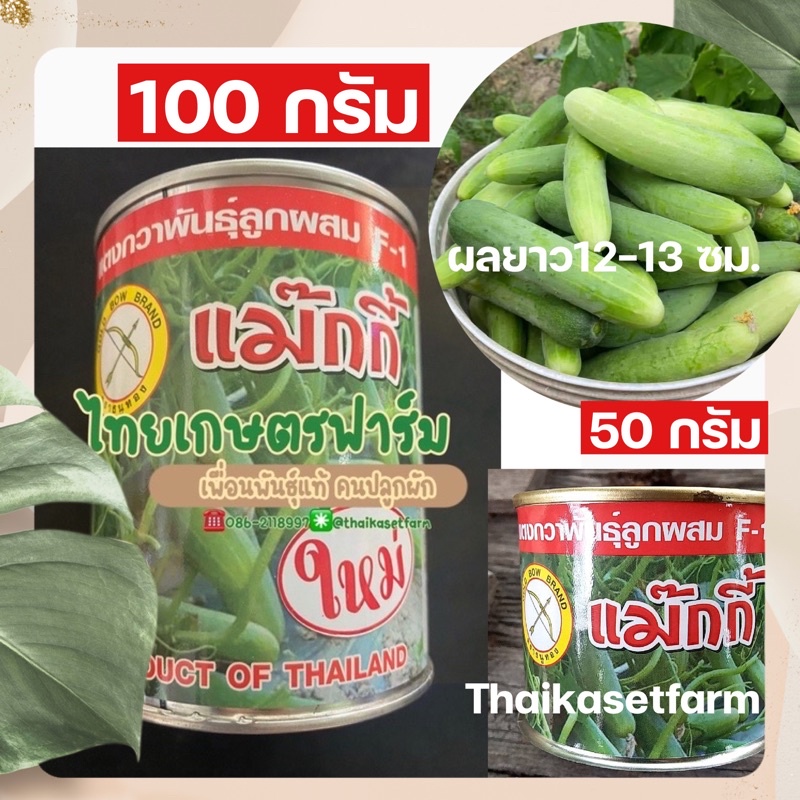 แตงกวาแม็กกี้ มีให้เลือก2 ขนาด ดกสวยตลาดต้องการ