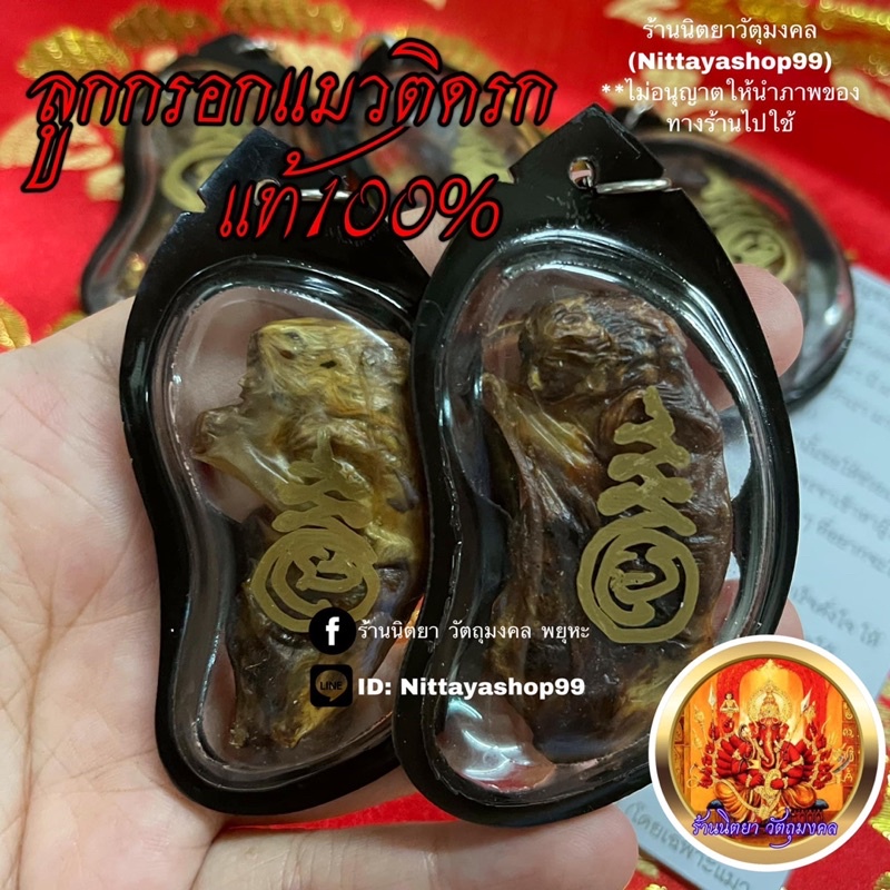 ลูกกรอกแมวติดรก เครื่องรางหายาก ช่วยเรื่องเงินทอง การค้าขาย จัดส่งพร้อมคาถาบูชา แถมผ้ายันต์ฟรี