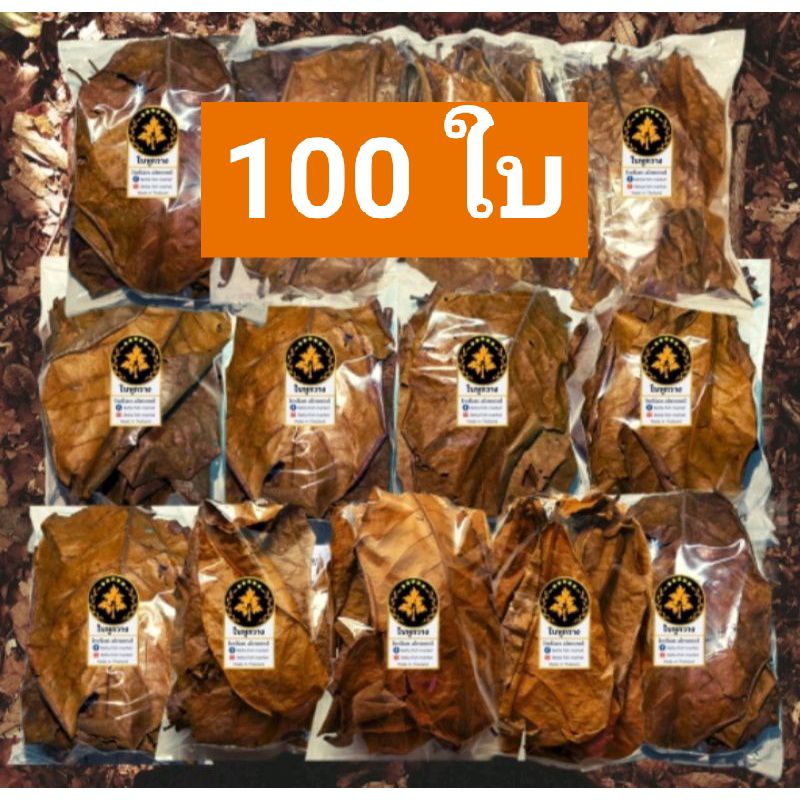 ใบหูกวาง 100 ใบ สำหรับปลากัด ปลาทอง ปลาช่อน กุ้ง และสัตว์น้ำอื่นๆ ราคา ถูกที่สุด ดีลบีเคเค