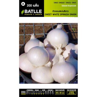 เมล็ด หัวหอมสเปนสีขาว - SWEET WHITE SPANISH ONION