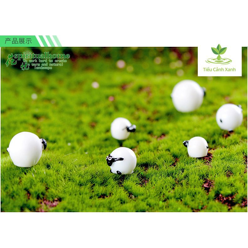 Shawn The Sheep - bheeeee - เครื่องประดับภูมิทัศน์ขนาดเล็ก