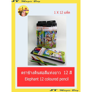 Elephant ดินสอ สีไม้ แท่งยาว 12 สี (1x12 กล่อง/แพ็ค) ตราช้าง12 Colours  Pencils