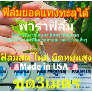 พาราฟิล์มM แท้USA🇺🇸 👍ฟิล์ม สด ใหม่ ยืดหยุ่นดี👍⭐ใช้ติดตา เสียบยอด ชำกิ่ง💥ยอดแทงทะลุฟิล์มได้💥🚛จัดส่งจากจังหวัดสมุทรปราการ