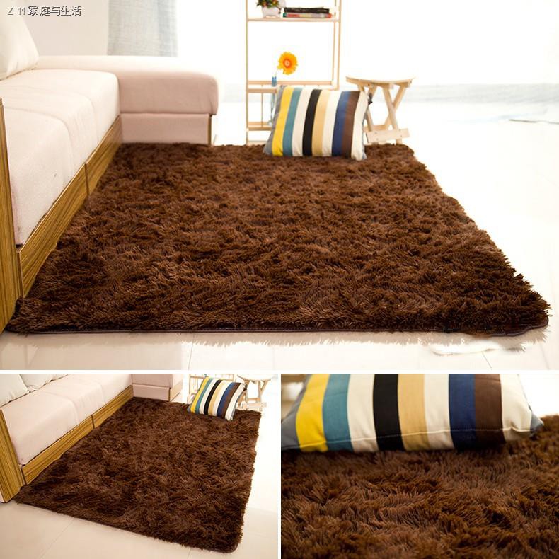 ۞Salad-so พรม พรมปูพื้น 160x120 cm ขนนิ่ม พรมนุ่ม ผืนใหญ่ 120*80cm พรมห้องนอน พรมแต่งบ้าน มีหลายขนาด