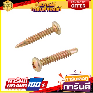 สกรูปลายสว่าน TP FITT 8x1 นิ้ว 25 ตัว สกรู, น๊อตและแหวน SELF-DRILLING SCREW TP FITT 8X1" 25EA