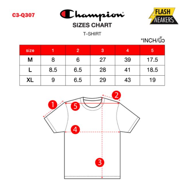 champion tee size chart