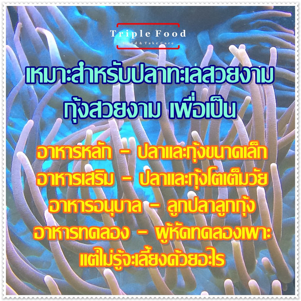 My Image 5