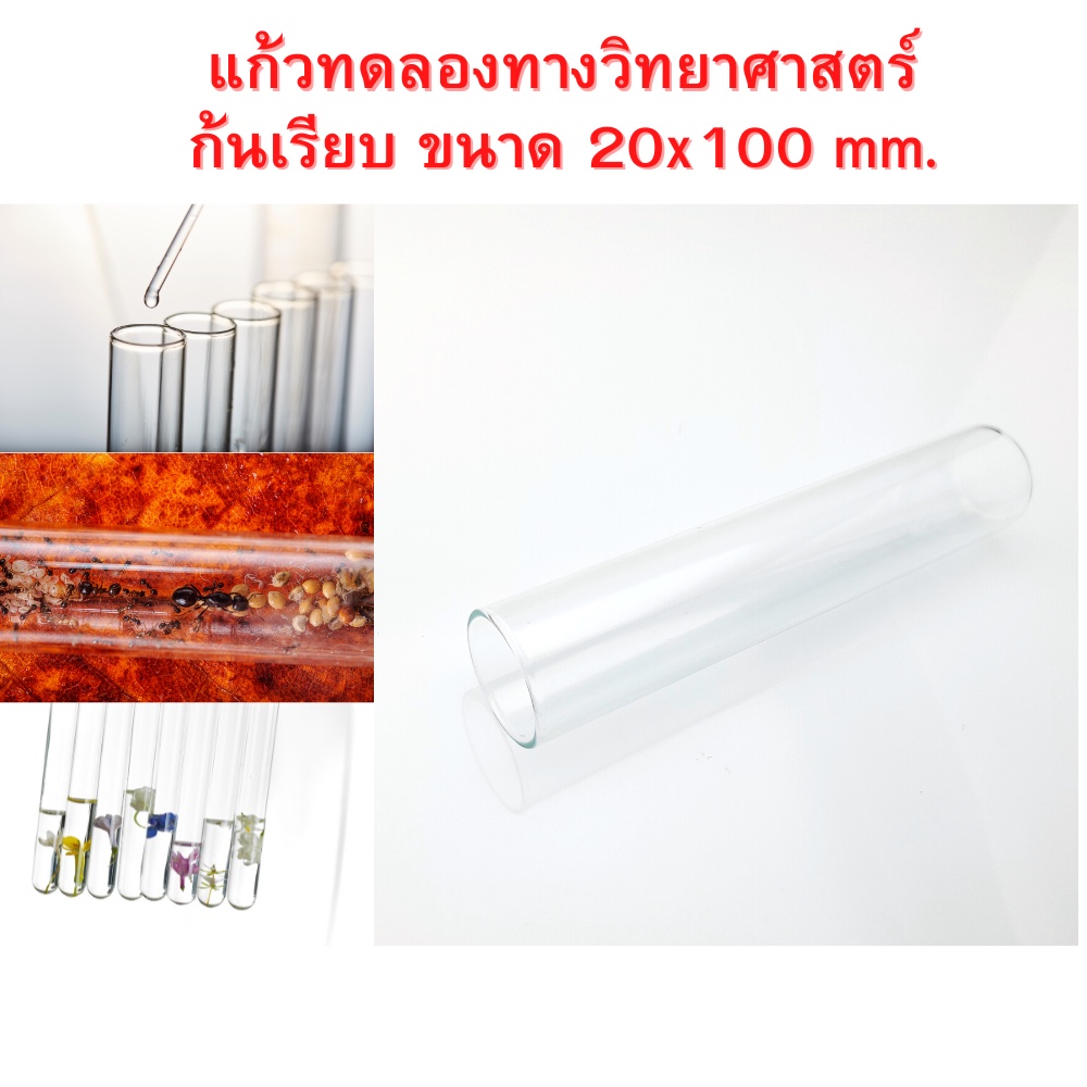 [ซื้อ 2 แถม 1]แก้วทดลองทางวิทยาศาตร์ก้นเรียบ ขนาด 20x100 มม. สำหรับเลี้ยงมด ใส่ดอกไม้แห้ง ฯลฯ