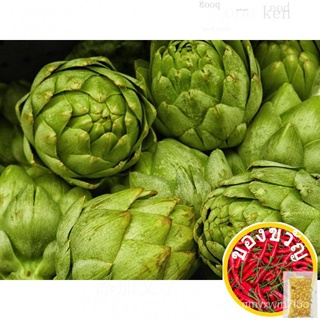 20จากArtichokeสร้อยข้อมือเมล็ดพันธุ์ผักมรดกตกทอดของยูเครน/ผักกาดหอม/เมล็ด/ดอกทานตะวัน/ผักชี/กางเกง/เด็ก/ผู้ชาย/แอปเปิ้ล/