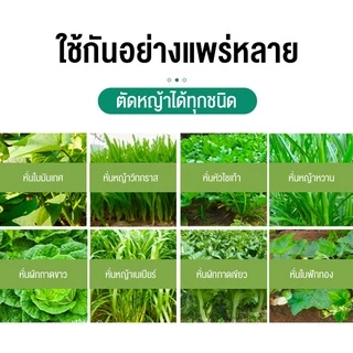 🔥รุ่นอัพเกรด🔥 เครื่องสับหญ้า 8800W บดหญ้าและชนิดอาหารผักอย่างง่ายดาย Electric grass cutter ใบมีดใหม่ คมขึ้น