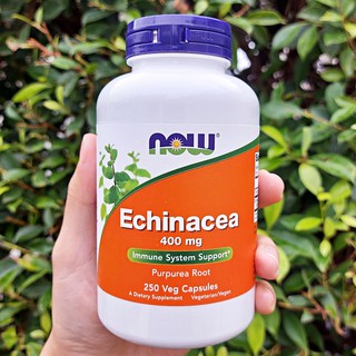 เอ็กไคนาเชีย Echinacea 400 mg 250 Veg Capsules (Now Foods®)