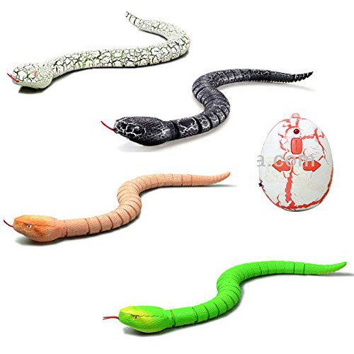 งูบังคับ Innovation Snake