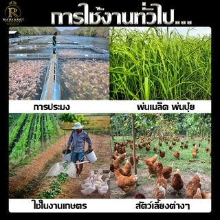 เครื่องพ่นปุ๋ยแบตเตอรี่ ตราแรด 20ลิตร เครื่องพ่นหว่าน เครื่องพ่นปุ๋ยพ่นเมล็ด สินค้าใหม่ล่าสุด