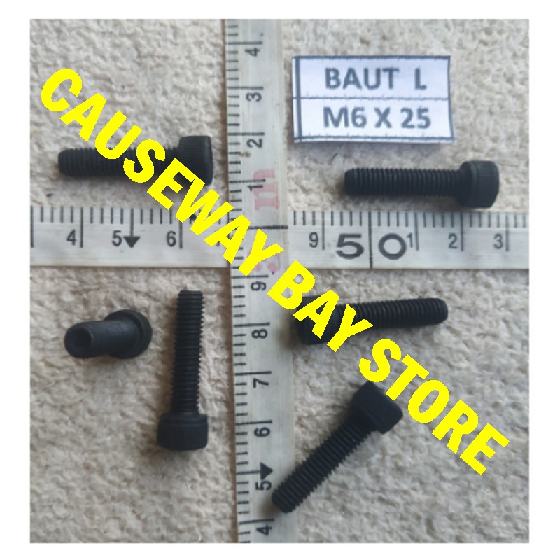 BOLT L M6 X 25******