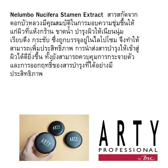 ARTY PROFESSIONAL SUPER PERFECT POWDER SPF 25 PA++ เนื้อเนียน ละเอียด ยึดเกาะผิวได้ยาวนาน - รูปที่ 3
