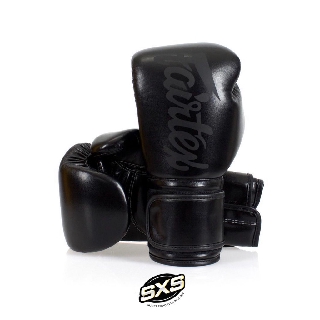 Fairtex Boxing Gloves BGV14SB