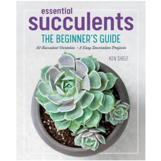 Essential Succulents : The Beginners Guide