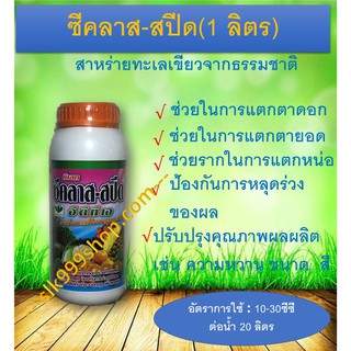 ซีคลาส-สปีด 1ลิตร สาหร่ายทะเลเขียวจากธรรมชาติ