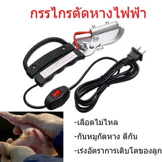 คีมตัดหางหมูความร้อน กรรไกรตัดหางหางไฟฟ้า เลือดไม่ไหล กันหมู…