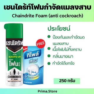 เชนไดร้ท์โฟม 2 กำจัดแมลงสาบ กำจัดมด