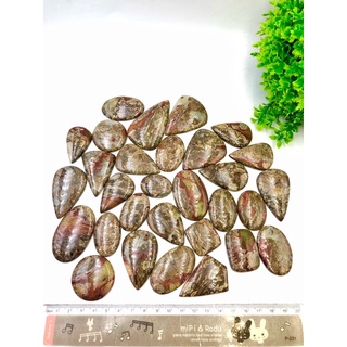 100% Natural Premium Quality Smooth Beautiful Jasper.Rare Item, Best for making Jewelry Healing Handmade wire Wrapping.