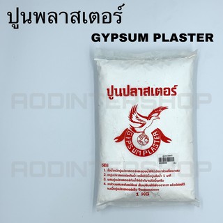 ปูนพลาสเตอร์ ขาว GYPSUM PLASTER