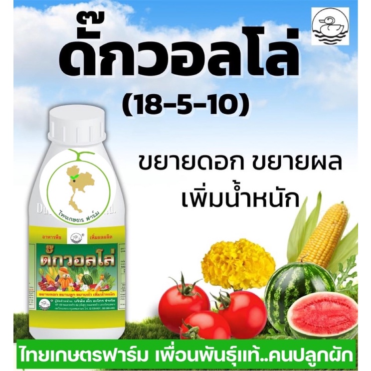 ดั้กวอลโล่ ขยายขนาดของผล เร่งใหญ่ เร่งโต ลูกใหญ่(ยาเย็น)มีให้เลือก3ขนาดสุดคุ้ม