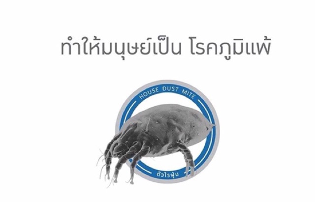 หมอนหลอดกาแฟ เพื่อสุขภาพ กันไรฝุ่น งานส่งเสริมอาชีพกลุ่มแม่บ้าน - รูปที่ 2