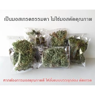 มอสแห้ง ถุงละ 29 บาท แถมฟรีคู่มือปลูกมอสทุกออเดอร์