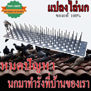 ไล่นก แปลงไล่นก หนามไล่นก Chasing Birds  (แบบวาง) 49x11.2x6ซม. 1แผง