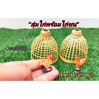 ไก่บูชาไอ้ไข่ ไอ้ไข่เด็กวัดเจดีย์ ไก่ชน พร้อมสุ่มไก่