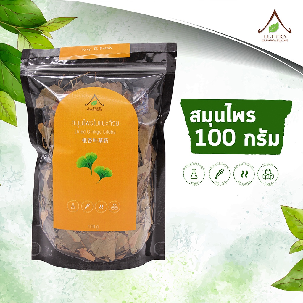 ใบแปะก๊วย ตากแห้งแบบชิ้น ขนาด 100 กรัม (Ginkgo Leaf dried size 100g.) ชาสมุนไพร ชาใบแปะก๊วย ตากแห้งแบบชิ้น