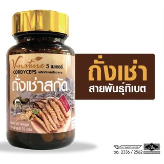 พร้อมส่ง v nature ถั่งเช่า คอดีเซ็ปส์ จากทิเบต cordyceps ซี เนเชอร์ ถังเช่า artiscent มหัศจรรย์แห่งสมุนไพรจักรพรรดิ