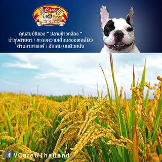 อาหารสุนัขวีแคร์ยู ขนาดกระสอบ 12 กิโล