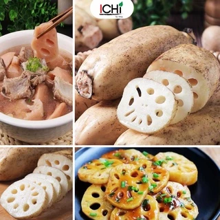 🥔 “รากบัวสด” สมุนไพรจีนมากคุณประโยชน์ (1kg.)