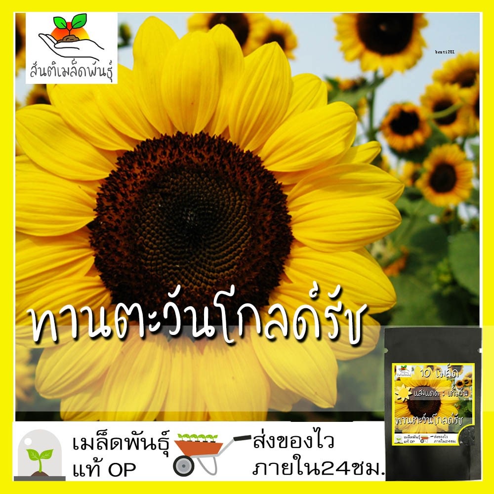 My Image 36