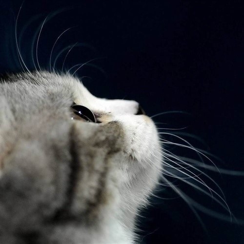 TESTM cafe24 Ryong Test 0921 MK_03 another123